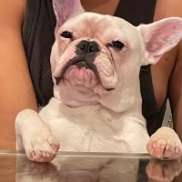 u/TickerMaBalls (@utickermaballs) 's Twitter Profile