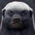 獨裁政權倒台 (@ducaisiquanjia) Twitter profile photo 獨裁政權倒台 (@ducaisiquanjia) Twitter profile photo