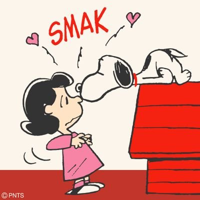 kipo_1004's profile picture. 