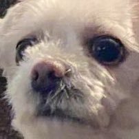 pastelkirou's profile picture. -Bio isn’t available-