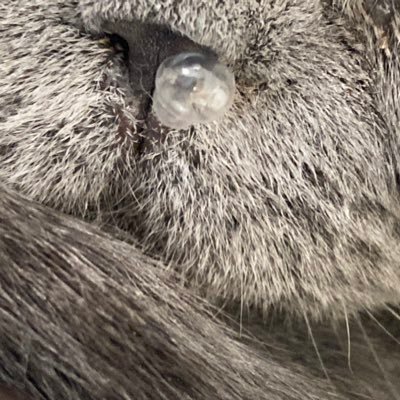 みるさんのプロフィール画像