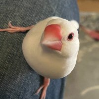 taka2 (@kuboiket) 's Twitter Profile