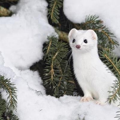 volodymyr_g25's profile picture. Full Stack JavaScript Developer, passionate about building innovative web and mobile apps using the latest technologie