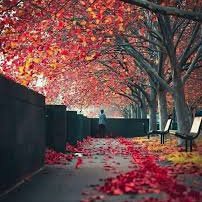 AbidAli56181316's profile picture. I am a digital creater