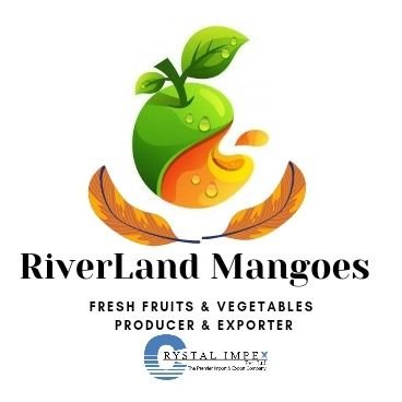 We are growers of Chounsa, Dosehri and Sindhari Mangoes and Kinnow . We supply to exporters and local distributors.#mango #multan Whatsapp/Call +923001401981