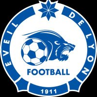 Eveil de Lyon Football (@eveildelyonfoot) 's Twitter Profile