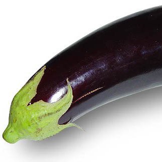 FreezingNasubi's profile picture. 漫画とゲームが大好きです 。 R18系の画像リツイートとかするので注意。youtubeでゲーム配信やるんで良かったらご覧下さい［冷凍ナスビのチャンネル］ https://t.co/12IWOHig0b