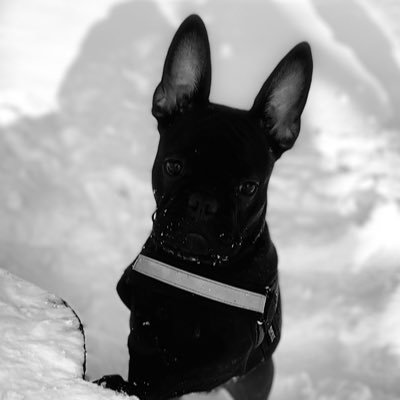 FPrutianu's profile picture. 