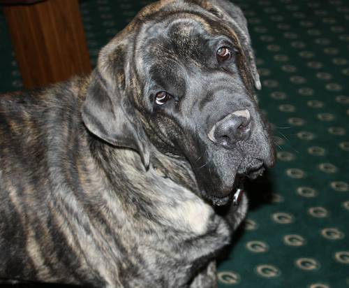 Packerbacker4's profile picture. I am here to learn.