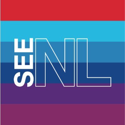 SEE NL is a platform dedicated to the international promotion of films from the Netherlands.