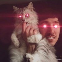 Jack K (@jackkluz) 's Twitter Profile