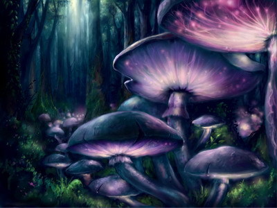 MJ_Zebra's profile picture. 