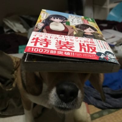 炊き込み豚ご飯さんのプロフィール画像