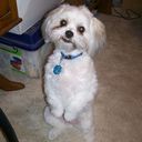 Larry Stiffler - @BigL1 - Twitter