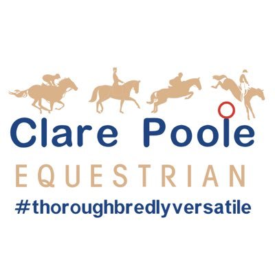 EquestrianClare's profile picture. Dedicated to retraining ex-racehorses #racehorse #gloucestershire @RoRLatest #thoroughbredlyversatile #cantbeatanexracehorse
