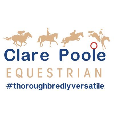 Dedicated to retraining ex-racehorses #racehorse #gloucestershire @RoRLatest #thoroughbredlyversatile #cantbeatanexracehorse