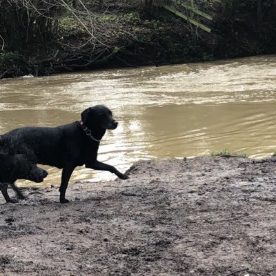 __hollylouise_'s profile picture. She/Her