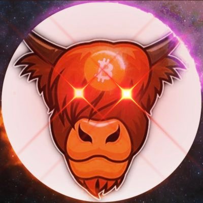 RocketorRekt Profile Picture