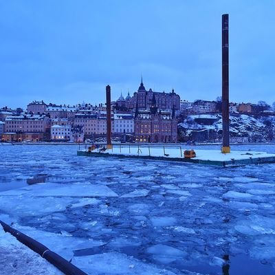 Fredriklibr's profile picture. Librarian