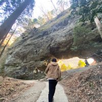 陸亀 (@majiadhd) 's Twitter Profile