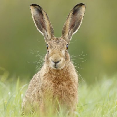 jsprhs's profile picture. 