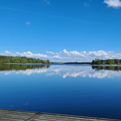 SEFreundeHej's profile picture. Schweden-Info