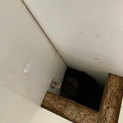 funny_bobby1259's profile picture. was @funnybobby1258 got banned now back. love big tits and sexy women.