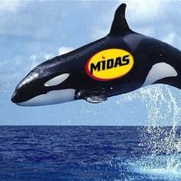 Midas Whale Capital (@midaswhalecm) 's Twitter Profile
