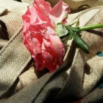 AF06276632's profile picture. محبه للخير