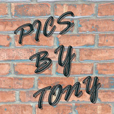 PicsByTonyさんのプロフィール画像