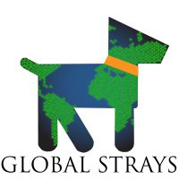 Global Strays(@GlobalStrays) 's Twitter Profile Photo