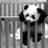 m79347127's profile image