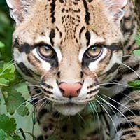 aeneas2017's profile picture. 