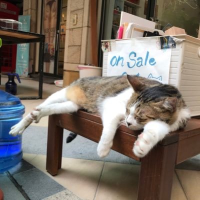 asumi175026's profile picture. 