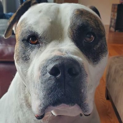 Stvrny2's profile picture. 42 yr old Father of 4 🙏🙏🙏