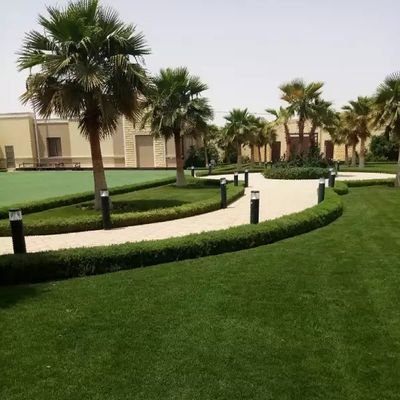 MahedyH89498957's profile picture. 