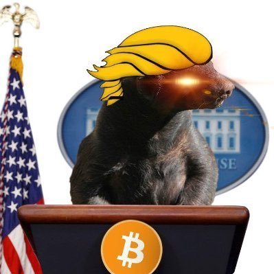 InsanelyBTC's profile picture. #Bitcoin/ Probably PsyOps / 🌽 ⛏