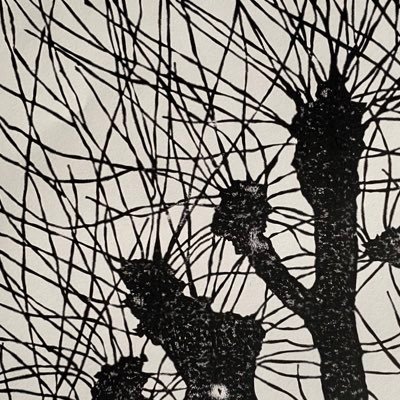 Dad, partner,Printmaker & architect, good homes 4 all, sustainable building, the Caledonian Pine-forest, Scottish Rainforest, Argyll coast & Northern Finland