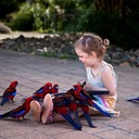 RAY - @Ray_Juli - Twitter