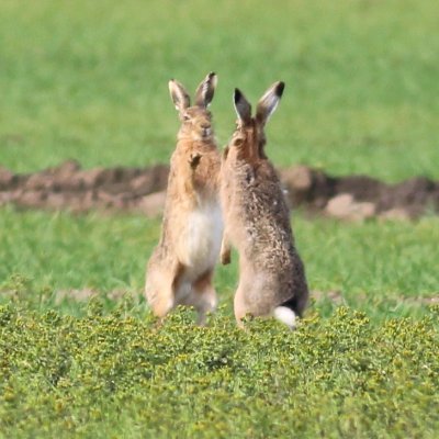 Discover over 600 wildlife sites in 'God's own Country'