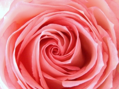 G_Perrault's profile picture. femme et mère