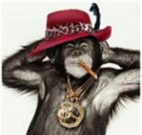 The_Firemonkey Profile Picture