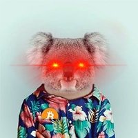 Brrrrrrrm (@bitcoinbram) 's Twitter Profile