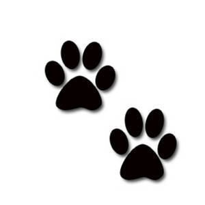Animal Lover and Saver. I always follow back