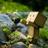 ふじじ (@fujijik) 's Twitter Profile