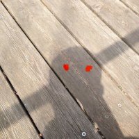 U (@sofakingtilted) 's Twitter Profile