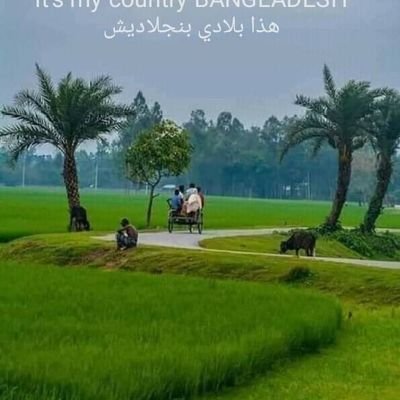 HasanAh20196363's profile picture. HH