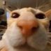 i fucking hate you!! (@xx4chan_userxx2) Twitter profile photo i fucking hate you!! (@xx4chan_userxx2) Twitter profile photo