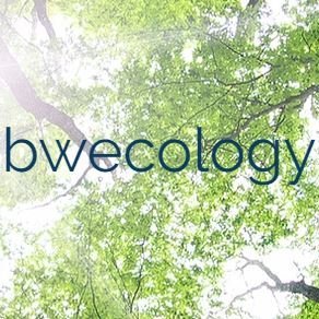 bwecology Profile Picture
