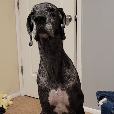 16309999002's profile picture. 